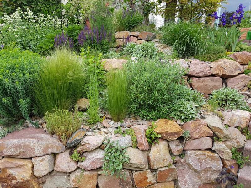 Les secrets d'un am&eacute;nagement de jardin r&eacute;ussi pour votre ext&eacute;rieur