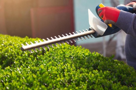 Quand et comment tailler vos haies pour un jardin impeccable