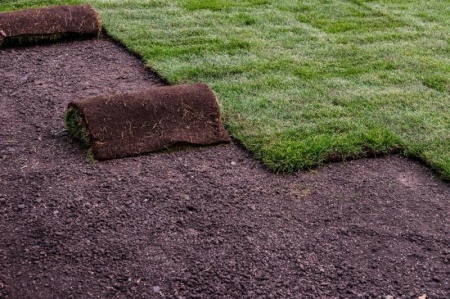 Quand faut-il semer un nouvel engazonnement pour la pelouse &agrave; Vesoul ?